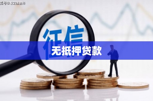 盐埔无抵押贷款
