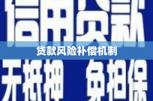 盐埔贷款风险补偿机制