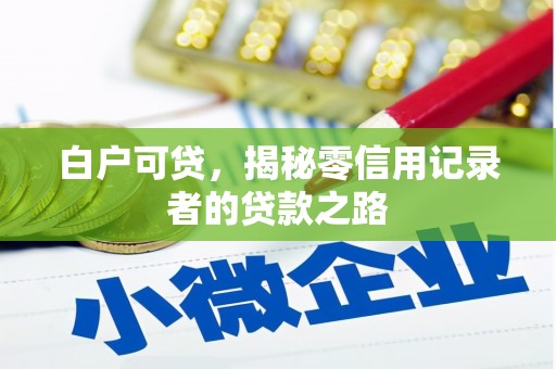 盐埔白户可贷，揭秘零信用记录者的贷款之路
