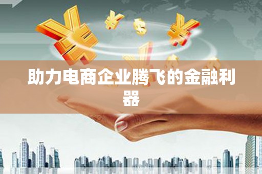 盐埔助力电商企业腾飞的金融利器