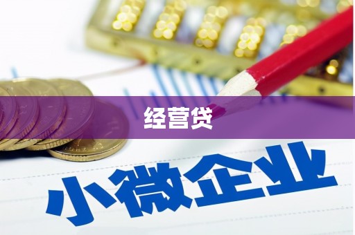 盐埔经营贷