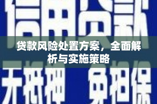 盐埔贷款风险处置方案，全面解析与实施策略