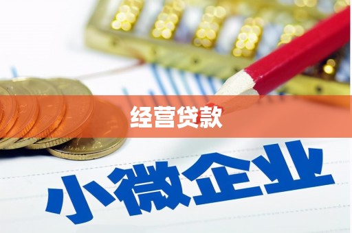 盐埔经营贷款