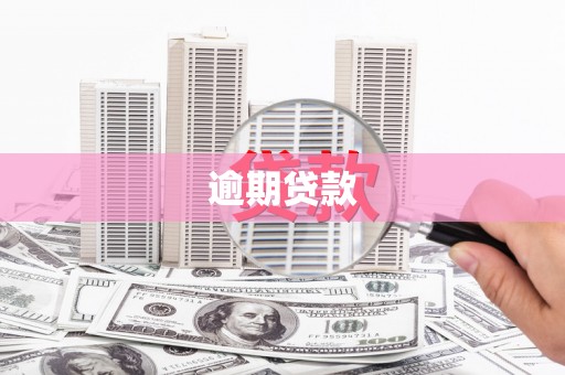 盐埔逾期贷款